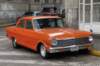 dsc08249_small.jpg