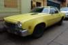 dsc08260_small.jpg