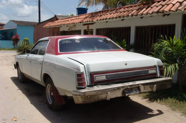dsc10001.jpg
