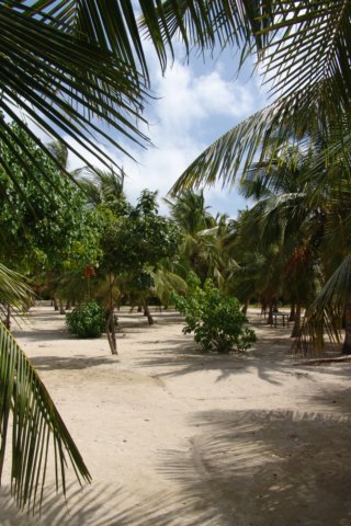 photo22.jpg