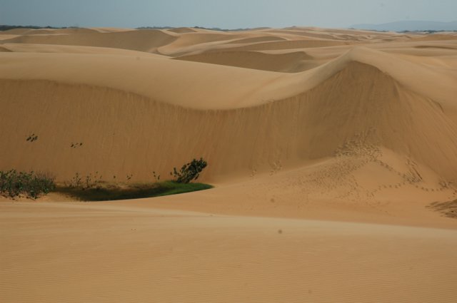 photo43.jpg