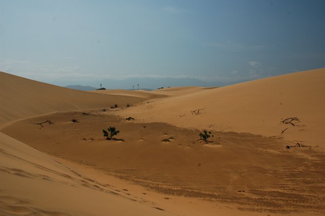 photo46.jpg