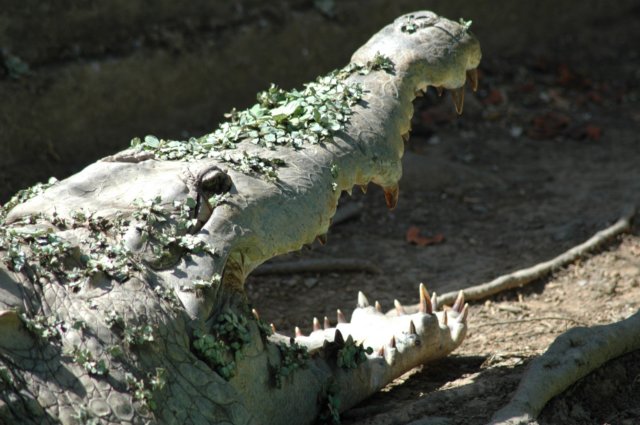 photo11.jpg