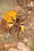 photo15_small.jpg