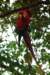 photo17_small.jpg