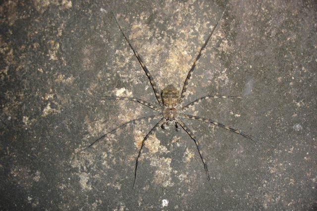 photo22.jpg