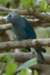 photo30_small.jpg
