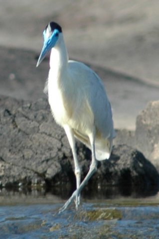 photo40.jpg