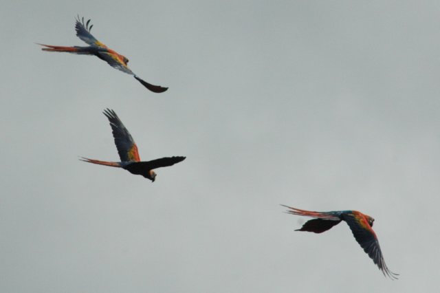 photo42.jpg