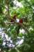 photo44_small.jpg