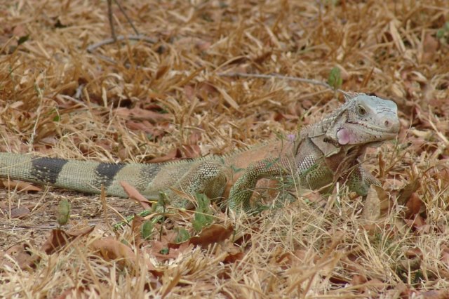 photo46.jpg