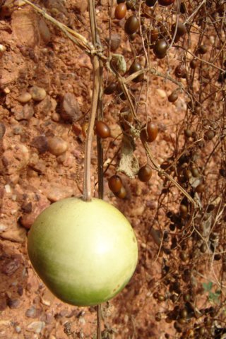 photo10.jpg