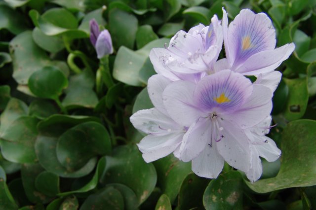 photo14.jpg