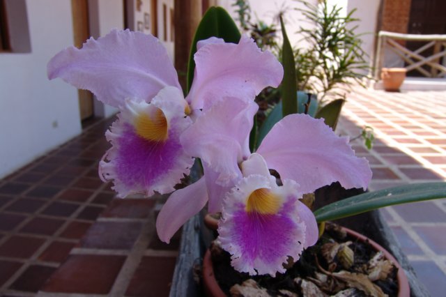 photo15.jpg