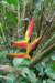 photo23_small.jpg