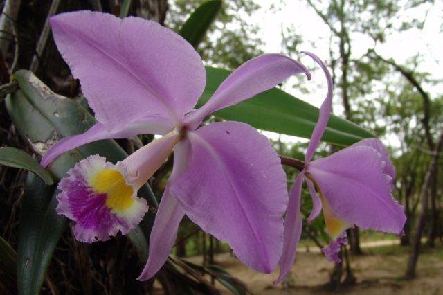 photo24.jpg