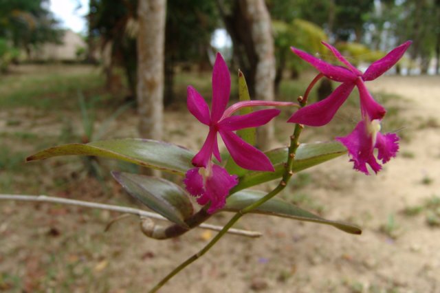 photo26.jpg