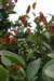photo27_small.jpg