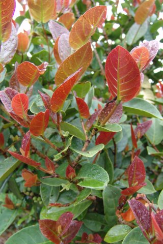 photo28.jpg