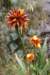 photo31_small.jpg