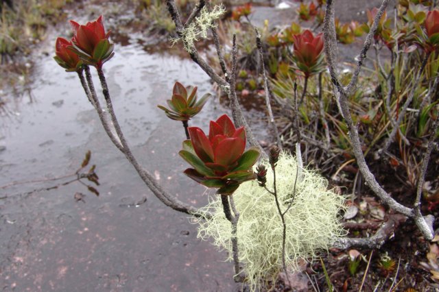 photo33.jpg