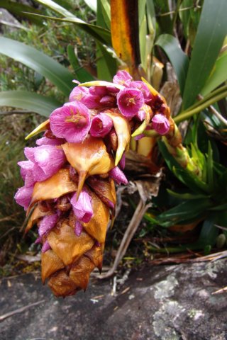 photo35.jpg