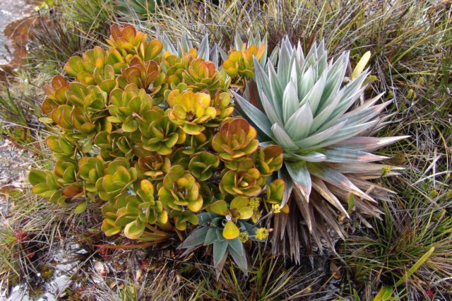photo36.jpg