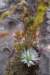 photo3_small.jpg