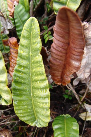 photo41.jpg