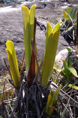 photo42.jpg