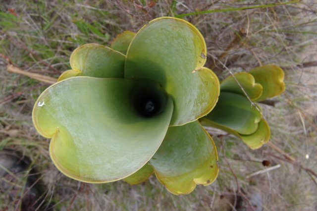 photo44.jpg