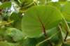 photo7_small.jpg