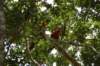 photo12_small.jpg