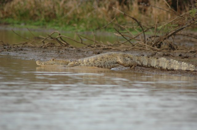 photo25.jpg