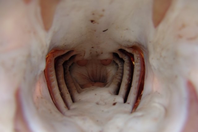 photo37.jpg