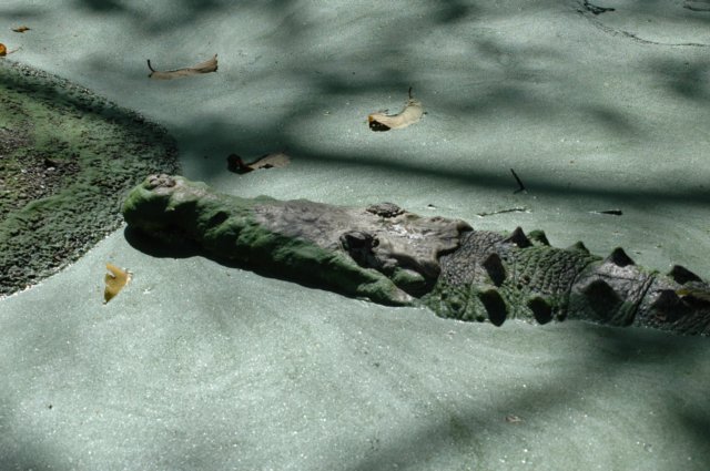 photo48.jpg