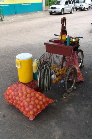photo27.jpg