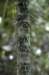 photo44_small.jpg