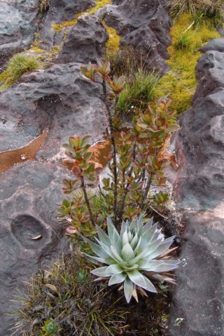 photo23.jpg