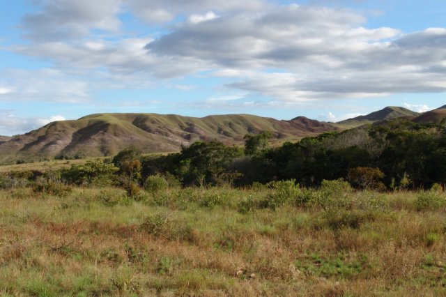 photo8.jpg