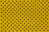 dsc07735u_small.jpg