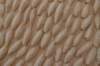 dsc07829_small.jpg