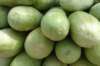 dsc07848_small.jpg