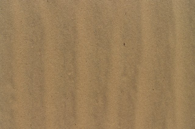 dsc08095.jpg