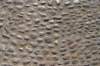 dsc08123_small.jpg
