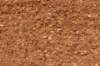 dsc08330_small.jpg