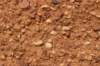 dsc08331_small.jpg