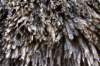 dsc08350_small.jpg