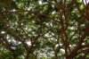 dsc08374_small.jpg