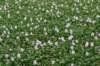 dsc08438_small.jpg